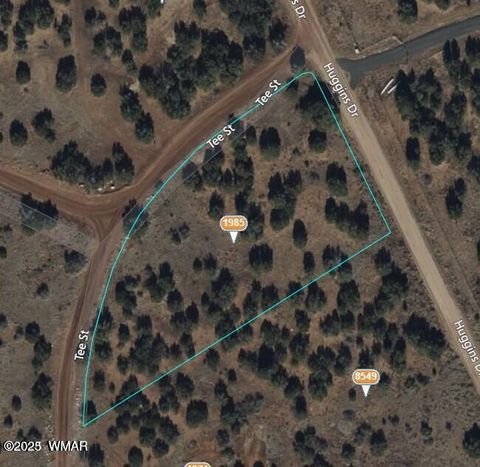 Tiny photo for 8542 Airport, White Mountain Lake, AZ 85912 (MLS # 258950)