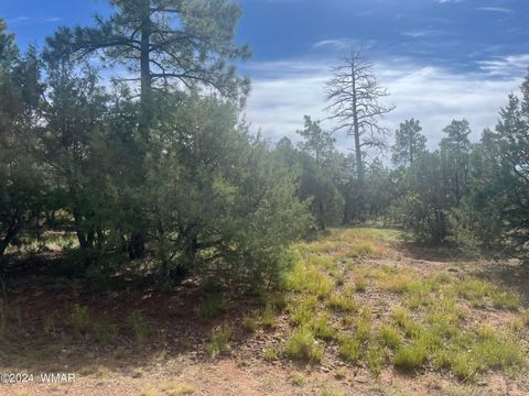Tiny photo for 5455 Red Squirrel Lane, Lakeside, AZ 85929 (MLS # 252121)