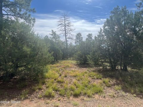 Photo of 5455 Red Squirrel Lane, Lakeside, AZ 85929 (MLS # 252121)