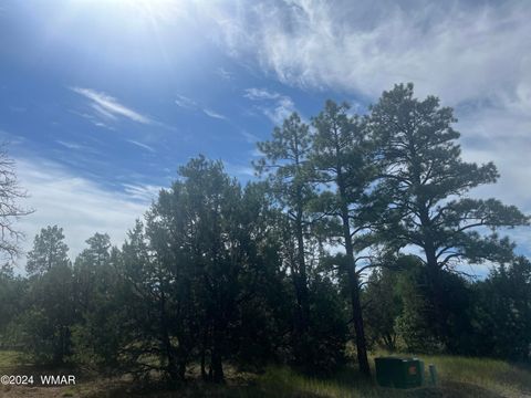 Tiny photo for 5455 Red Squirrel Lane, Lakeside, AZ 85929 (MLS # 252121)