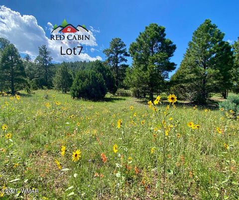 Photo of Lot 7 Red Cabin Ranch, Vernon, AZ 85940 (MLS # 253378)
