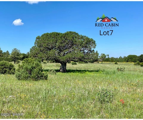 Tiny photo for Lot 7 Red Cabin Ranch, Vernon, AZ 85940 (MLS # 253378)