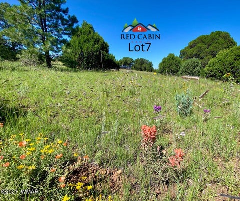 Tiny photo for Lot 7 Red Cabin Ranch, Vernon, AZ 85940 (MLS # 253378)