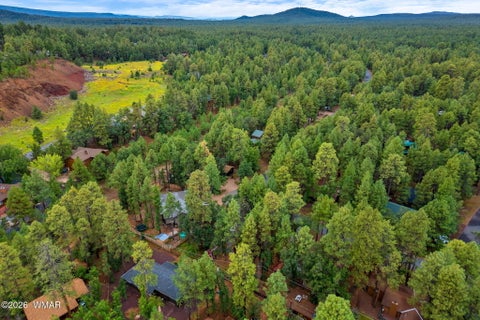Tiny photo for 6092 Pitch Fork Lane, Pinetop, AZ 85935 (MLS # 263087)