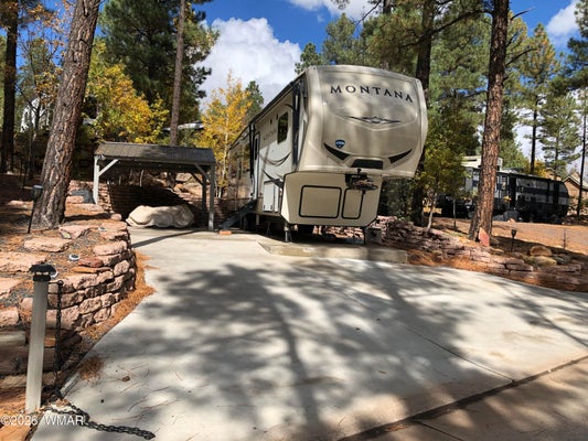 3881 S MULE SKINNER LOOP, SHOW LOW, AZ 85901 - Image c1027a32e3fdda5f67fc02ea87d095b2/2654940378