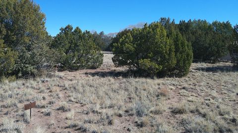 Photo of TBD Concho Valley 1 Drive, Concho, AZ 85924 (MLS # 259985)