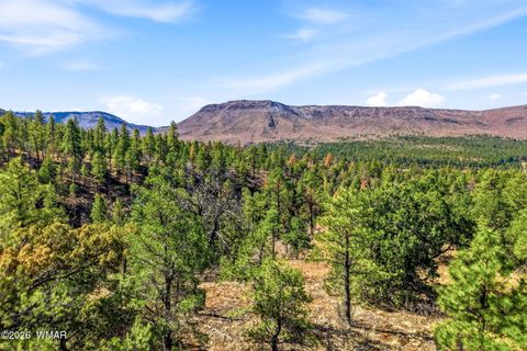 Tiny photo for TBD CR N2278, Nutrioso, AZ 85932 (MLS # 260077)