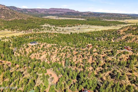 Tiny photo for TBD CR N2278, Nutrioso, AZ 85932 (MLS # 260077)