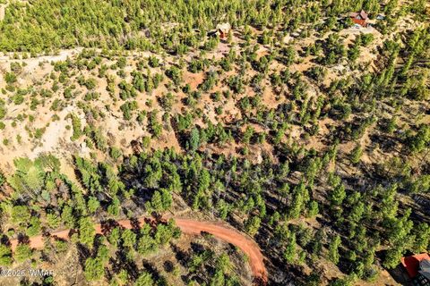 Tiny photo for TBD CR N2278, Nutrioso, AZ 85932 (MLS # 260077)