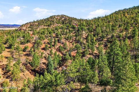 Tiny photo for TBD CR N2278, Nutrioso, AZ 85932 (MLS # 260077)