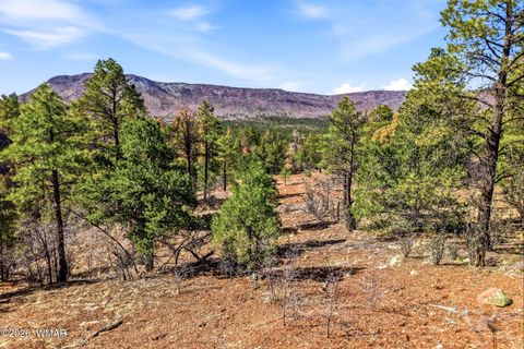 Photo of TBD CR N2278, Nutrioso, AZ 85932 (MLS # 260077)