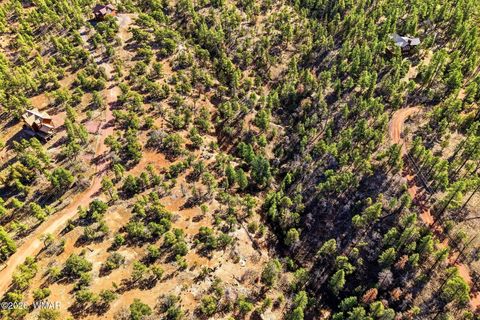 Tiny photo for TBD CR N2278, Nutrioso, AZ 85932 (MLS # 260077)