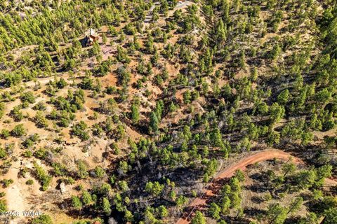 Tiny photo for TBD CR N2278, Nutrioso, AZ 85932 (MLS # 260077)