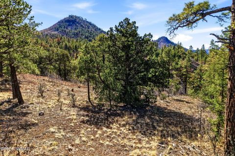 Tiny photo for TBD CR N2278, Nutrioso, AZ 85932 (MLS # 260077)