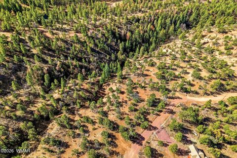 Tiny photo for TBD CR N2278, Nutrioso, AZ 85932 (MLS # 260077)