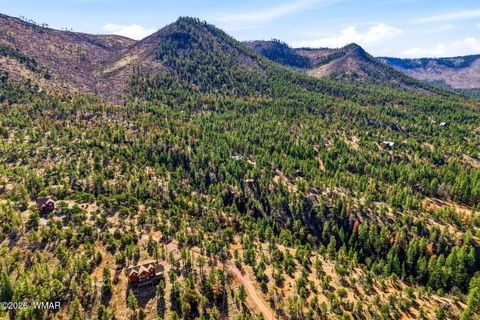 Tiny photo for TBD CR N2278, Nutrioso, AZ 85932 (MLS # 260077)