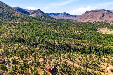 Tiny photo for TBD CR N2278, Nutrioso, AZ 85932 (MLS # 260077)