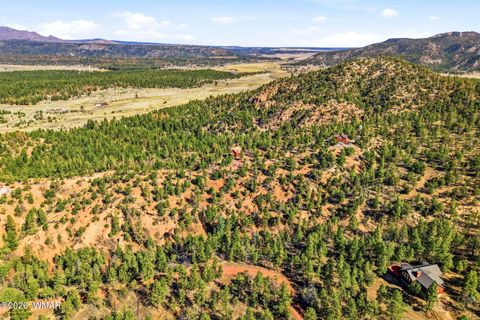 Tiny photo for TBD CR N2278, Nutrioso, AZ 85932 (MLS # 260077)