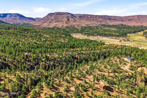 Tiny photo for TBD CR N2278, Nutrioso, AZ 85932 (MLS # 260077)