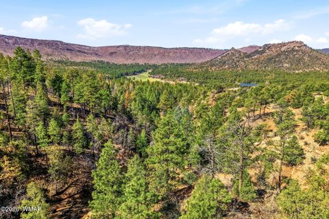 Tiny photo for TBD CR N2278, Nutrioso, AZ 85932 (MLS # 260077)