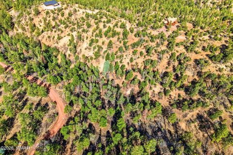 Tiny photo for TBD CR N2278, Nutrioso, AZ 85932 (MLS # 260077)