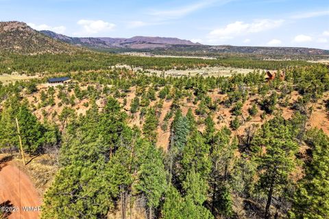 Tiny photo for TBD CR N2278, Nutrioso, AZ 85932 (MLS # 260077)