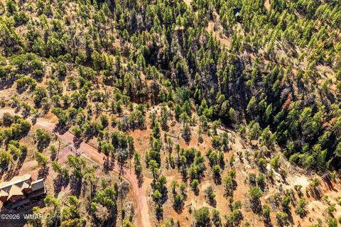 Tiny photo for TBD CR N2278, Nutrioso, AZ 85932 (MLS # 260077)