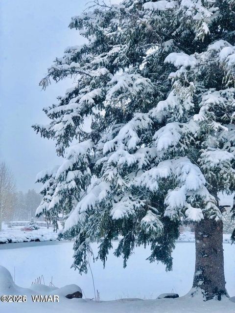 Tiny photo for 2138 N Wind Drive, Pinetop, AZ 85935 (MLS # 260195)