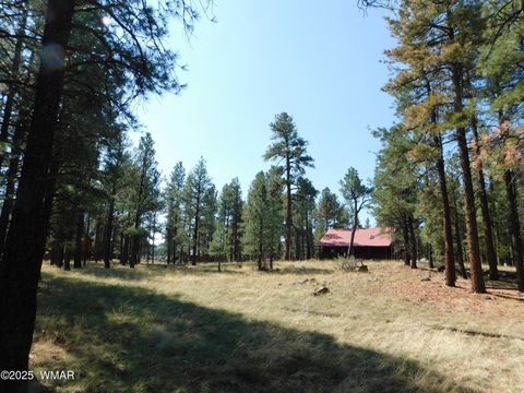 Tiny photo for UNK 1.17 AC UNK, Greer, AZ 85927 (MLS # 257654)