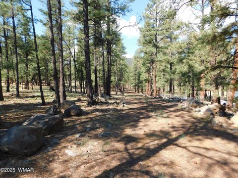 Tiny photo for UNK 1.17 AC UNK, Greer, AZ 85927 (MLS # 257654)