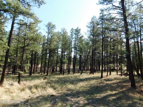 Tiny photo for UNK 1.17 AC UNK, Greer, AZ 85927 (MLS # 257654)