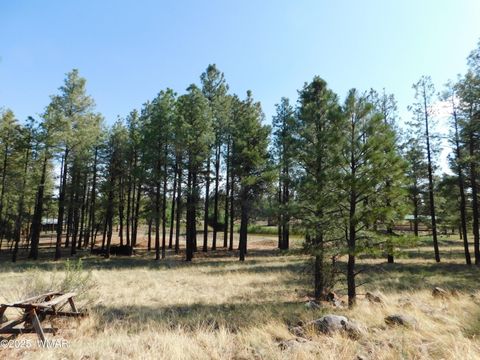 Tiny photo for UNK 1.17 AC UNK, Greer, AZ 85927 (MLS # 257654)
