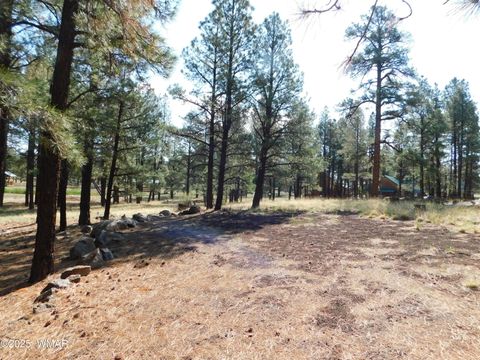 Tiny photo for UNK 1.17 AC UNK, Greer, AZ 85927 (MLS # 257654)