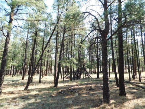 Tiny photo for UNK 1.17 AC UNK, Greer, AZ 85927 (MLS # 257654)