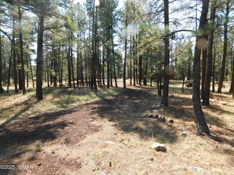 Tiny photo for UNK 1.17 AC UNK, Greer, AZ 85927 (MLS # 257654)