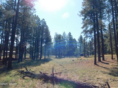 Tiny photo for UNK 1.17 AC UNK, Greer, AZ 85927 (MLS # 257654)
