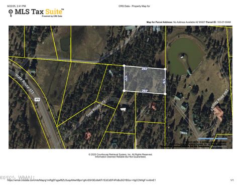 Tiny photo for UNK 1.17 AC UNK, Greer, AZ 85927 (MLS # 257654)