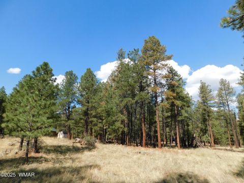 Tiny photo for UNK 1.17 AC UNK, Greer, AZ 85927 (MLS # 257654)