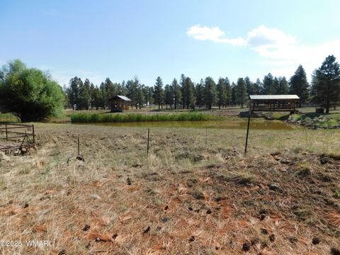 Tiny photo for UNK 1.17 AC UNK, Greer, AZ 85927 (MLS # 257654)