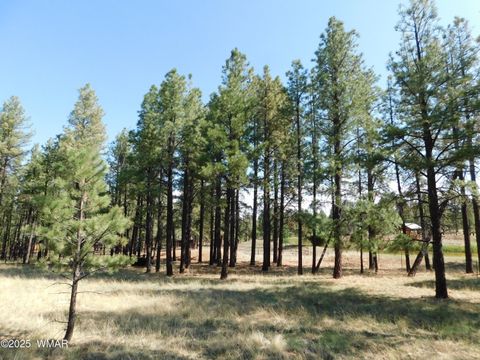 Tiny photo for UNK 1.17 AC UNK, Greer, AZ 85927 (MLS # 257654)