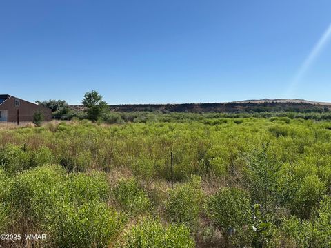 Photo of TBD W Main Street, Springerville, AZ 85938 (MLS # 256958)