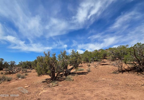 Photo of 9255 Tonto Road, Snowflake, AZ 85937 (MLS # 261714)