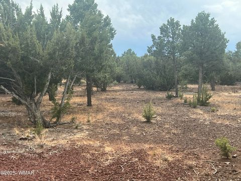 Tiny photo for 12 N 8401, Vernon, AZ 85940 (MLS # 257829)