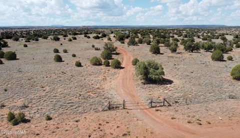 Tiny photo for 138 Jeff Lake Rd, Concho, AZ 85924 (MLS # 257119)