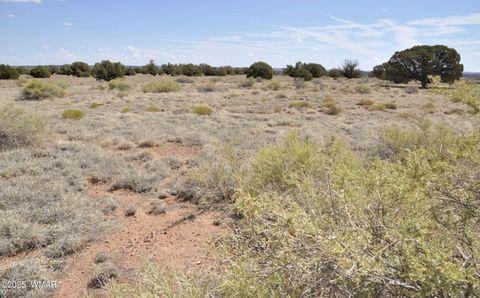 Tiny photo for 138 Jeff Lake Rd, Concho, AZ 85924 (MLS # 257119)