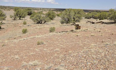 Tiny photo for 138 Jeff Lake Rd, Concho, AZ 85924 (MLS # 257119)