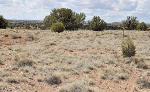 Tiny photo for 138 Jeff Lake Rd, Concho, AZ 85924 (MLS # 257119)