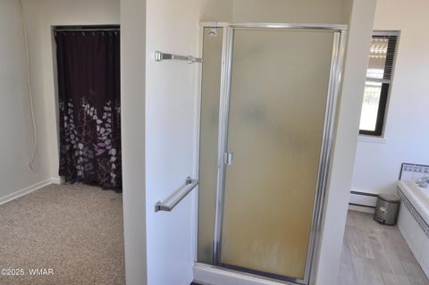 Tiny photo for 138 Jeff Lake Rd, Concho, AZ 85924 (MLS # 257119)