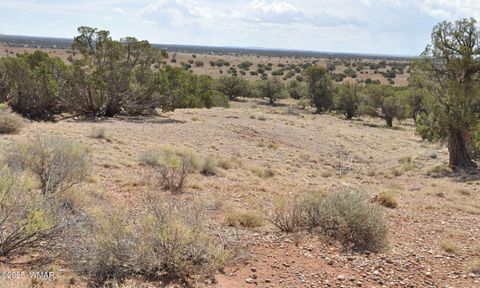 Tiny photo for 138 Jeff Lake Rd, Concho, AZ 85924 (MLS # 257119)