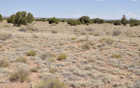 Tiny photo for 138 Jeff Lake Rd, Concho, AZ 85924 (MLS # 257119)